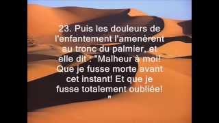 Maher Mueaqly ► Sourate Maryam  Récitation émouvante [upl. by Eisus]