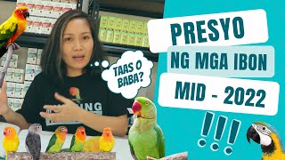 MAGKANO ANG MGA IBON NGAYONG MID2022 Bird Prices in the Philippines  Munting Ibunan [upl. by Dieterich539]