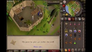 O Birdz A Zany En Pc Hard Clue Osrs2007 [upl. by Langsdon]