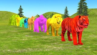 Long Slide Game With Elephant Gorilla Buffalo Hippopotamus Tiger  3d Animal Game  Funny 3d Animals [upl. by Yekram]