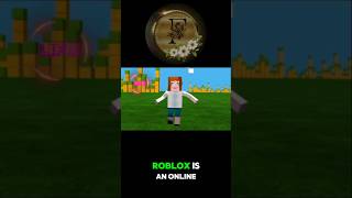 Introduction to Roblox Game [upl. by Dorothee]