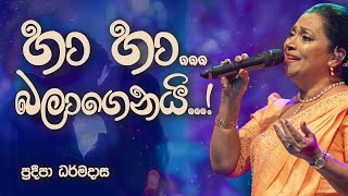 Ha Ha Balagenai by Pradeepa Dharmadasa  හා හා බලාගෙනයි  ප්‍රදීපා ධර්මදාස  Sinhala Songs [upl. by Zetniuq]