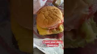 Count your days Wendys shorts food review wendys [upl. by Anigriv]