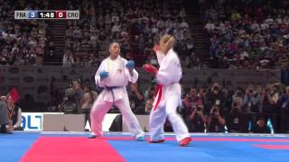 Final Female Kumite 55kg Lucie Ignace vs Jelena Kovacevic World Karate Championships 2012 [upl. by Sublett]