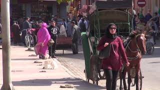 TAROUDANT A PIEDS DANS LA VILLE [upl. by Saloma]