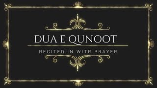 DUA E QUNOOT  LEARN AND MEMORISE  RECITED IN WITR PRAYER or SALAH  SHAIKH DAANISH [upl. by Nywled]