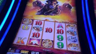 BUFFALO Slots and that Fish Game in Las Vegas Casino WINNING [upl. by Astrahan]