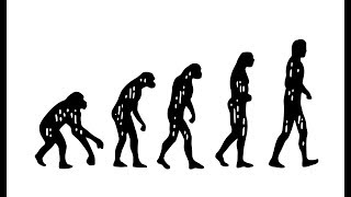 What is Darwin’s Theory of Evolution [upl. by Ellinet549]