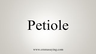 How To Say Petiole [upl. by Cornwell65]