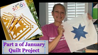 A Year in Solids January Quilt part 2 [upl. by Barnebas513]