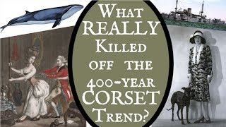 WHAT quotKILLEDquot THE CORSET History  Storytime  Lucys Corsetry [upl. by Gollin249]