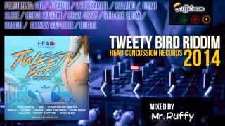 Tweety Bird Riddim MIX Dancehall 2014 QQVybz KartelBugleChris MartinChan DizzyKaladoJ Capri [upl. by Ytisahcal]