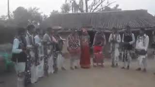 Badarbhariya Tharu geet Dhodhari Bardiya Nepal [upl. by Vorfeld]