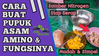 Cara Membuat Pupuk Asam Amino [upl. by Aiekan]