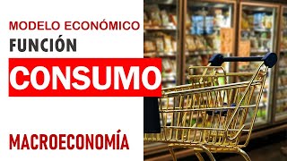 Macroeconomía función de consumo [upl. by Ateuqal]