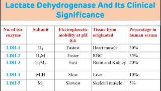 Lactate Dehydrogenase And Its Clinical Significance  LDH Biochemistry [upl. by Notrom]