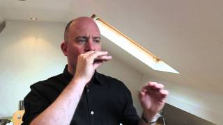 LESSON 3 Adding A Push  Country Blues Harmonica [upl. by Innor]