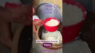 Bitkisel protein kaynağı TOFU [upl. by Ayikal186]