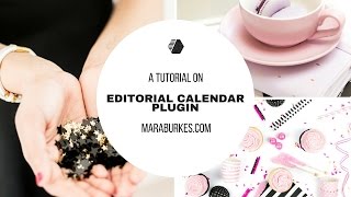 Editorial Calendar Plugin How to Use an Editorial Calendar [upl. by Obnukotalo]