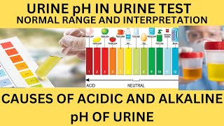 URINE pH IN URINANALYSIS NORMAL RANGE OF URINE PH CAUSES OF ACIDIC URINE ANDALKALINE URINE [upl. by Idnir913]