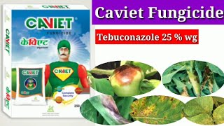 Caviet fungicide  Caviet  Tebuconazole 25  wg  Excel crop care [upl. by Bringhurst]