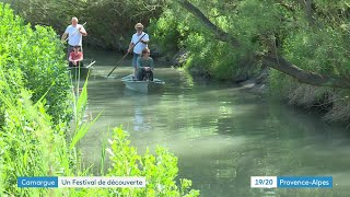 Festival de la Camargue  une balade sur les marais à bord de barques traditionnelles à fond plat [upl. by Enawyd60]