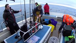 Fishing Trip Lyme Regis 07012017 [upl. by Rezal]