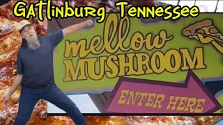 Mellow MUSHROOM  Where To Eat Gatlinburg Tn [upl. by Ahsilrac367]