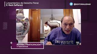 Lineamientos de Derecho Penal  11 Autoria y Participacion y Tentativa [upl. by Lonni]