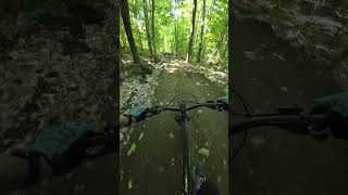 The 50 at StSauveur first pass mtb [upl. by Siradal]