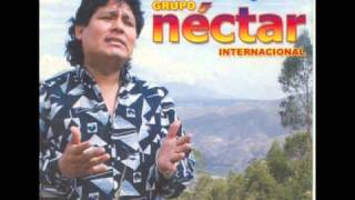 Grupo néctar  Internacional  Pecadora [upl. by Ecarret]