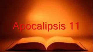 APOCALIPSIS completo Biblia hablada RV 1960 [upl. by Tersina]