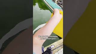 Comment nettoyer votre piscine sans la vider après lhiver shorts piscine nettoyage [upl. by Suoirrad]