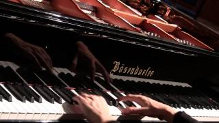 Schubert Liszt Des Mädchens Klage quotThe Maidens Lament quot Valentina Lisitsa [upl. by Cynara]