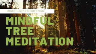 Guided Mindfulness Meditation for Peace  30 minute Mindful Tree Meditation [upl. by Audi]