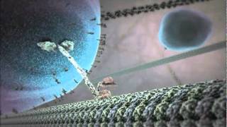 The Inner Life of the Cell Animation [upl. by Kram]