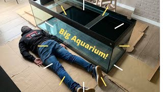 vlog 2 groot aquarium plaatsen trofis Colisa A1800 [upl. by Ardnal]