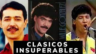 SALSAS CLASICAS INSUPERABLES Willie Gonzalez Eddie Santiago Hildemaro [upl. by Ynned]