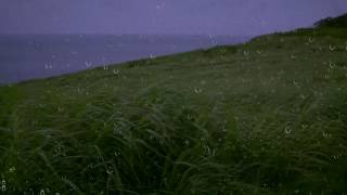 Rain amp Wind Sounds for Sleep amp Relaxation w Distant Thunder amp Ocean Waves  Relaxing White Noise [upl. by Teresita]