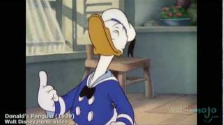 The History of Donald Duck [upl. by Alvis]