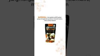 NUTRICELL BOOST FARM VITAMIN TERNAK vitaminternak peternakan [upl. by Niu611]