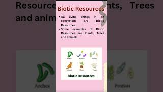 Biotic and Abiotic Resources [upl. by Meece]