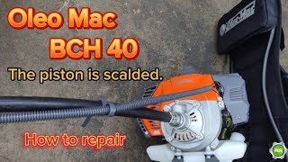 Oleomac BCH 40 piston problemhow to fix brushcutter [upl. by Semyaj542]