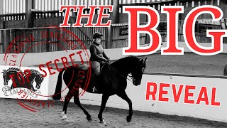 THE BIG REVEAL HOOF CAMP AT TALLAND SCHOOL OF EQUITATION JUMPINGDRESSAGE LESSON VLOG [upl. by Alliber11]