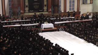 Simchas Torah in Satmar 09 [upl. by Cob]