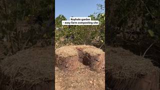 Keyhole garden easy farm composting diy renatasridhar noprobleminindia indianvillage tamilnadu [upl. by Mott55]