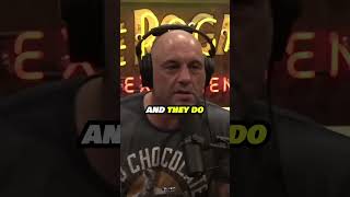 The ALIENS Are WATCHING US  😲 w Joe Rogan [upl. by Castillo501]