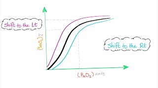 Oxygen Hemoglobin Dissociation Curve with a mnemonic [upl. by Leonhard136]