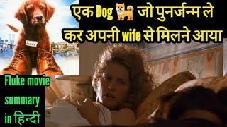 Fluke movie Explained in Hindi  dog movie  Ending explained  story [upl. by Enyahc]