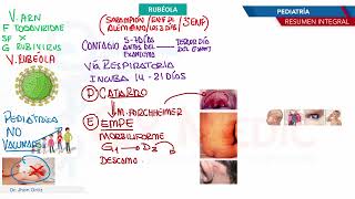 Pediatría  Exantemas Rubeola [upl. by Harlan553]